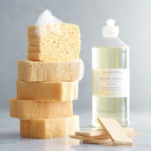 Williams Sonoma Large Pop-Up Sponges - 2 packs